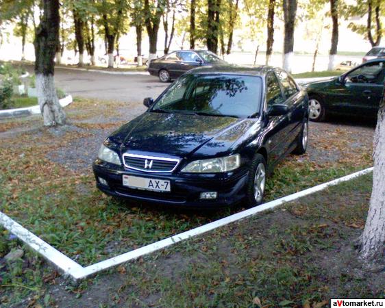 Год третий.