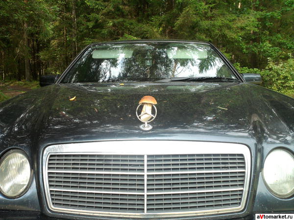 w210.