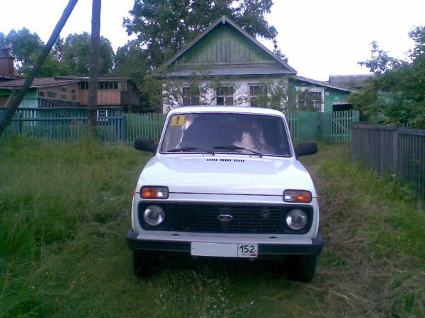Рабочая лошадка