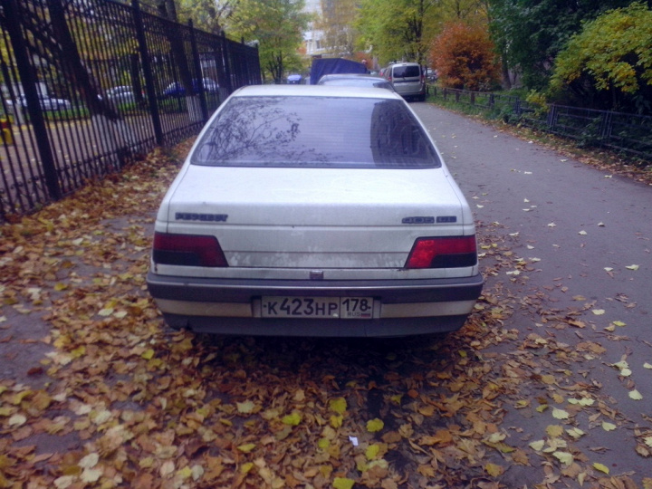 Пежопник