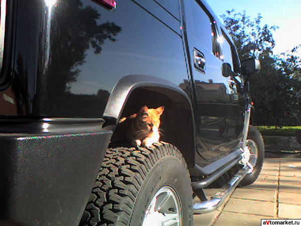 Hummer H2