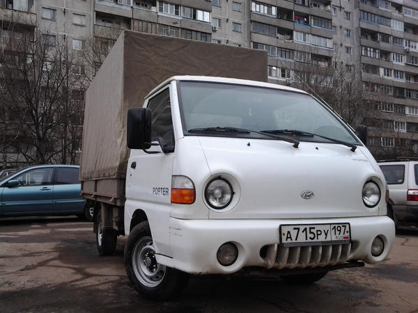 Головастик