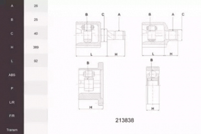 ACEMARK 213838 -