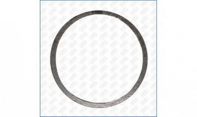 AJUSA 19006100 -  