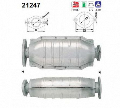 AS 21247 -  Катализатор