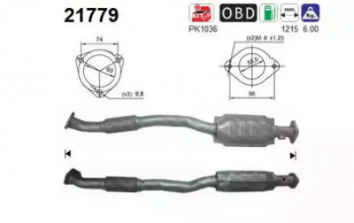 AS 21779 -  Катализатор