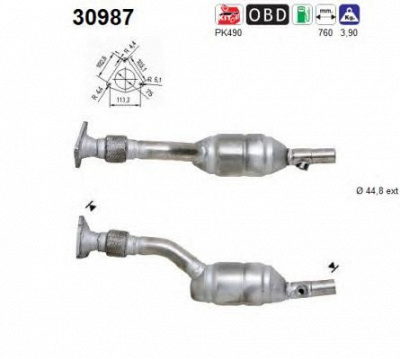 AS 30987 -  Катализатор