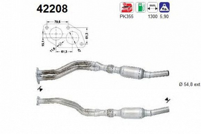 AS 42208 -  Катализатор