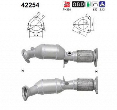 AS 42254 -  Катализатор