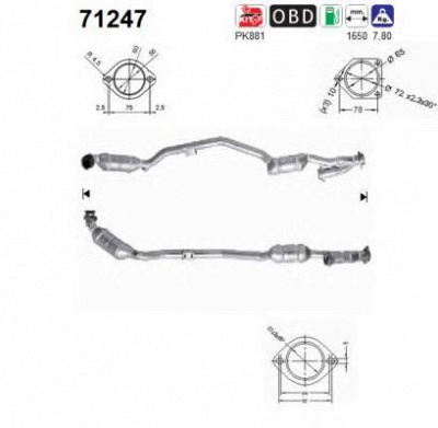 AS 71247 -  Катализатор