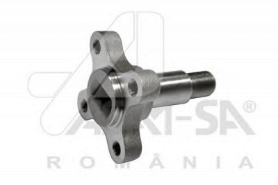 ASAM 32035 -  СТУПИЦА ЗАДНЯЯ DUSTER 4X2 32035