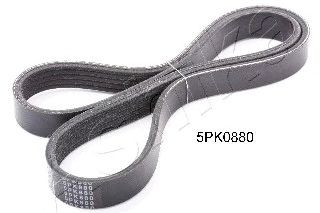 ASHIKA 1125pk880 -  Поликлиновой ремень