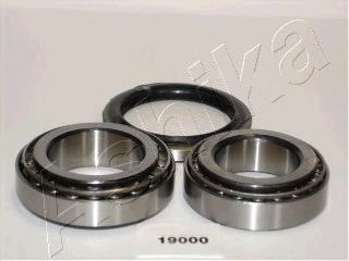ASHIKA 4419000 -  Комплект подшипника ступицы колеса