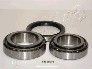 ASHIKA 4419001 -  Комплект подшипника ступицы колеса