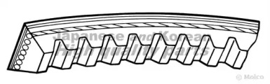 ASHUKI 03390480 -  Поликлиновой ремень