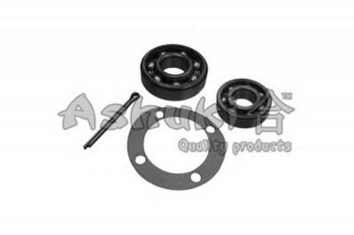 ASHUKI 14133106 -  Комплект подшипника ступицы колеса