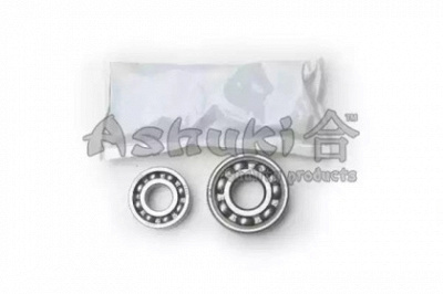 ASHUKI d11910 -  Комплект подшипника ступицы колеса