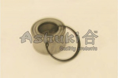 ASHUKI m66031 -  Комплект подшипника ступицы колеса