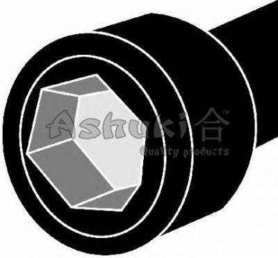 ASHUKI n00080 -  Комплект болтов головки цилидра