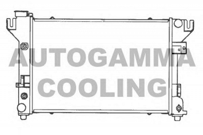 AUTOGAMMA 100136 -  Радиатор, охлаждение двигателя