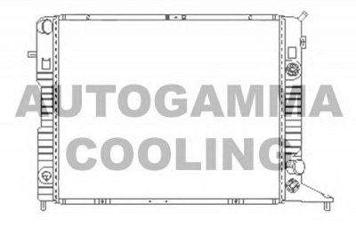 AUTOGAMMA 100711 -  Радиатор, охлаждение двигателя