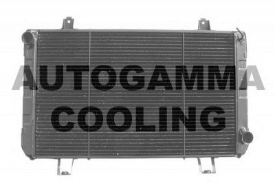 AUTOGAMMA 102095 -  Радиатор, охлаждение двигателя