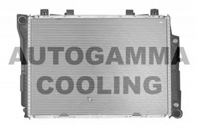 AUTOGAMMA 102165 -  Радиатор, охлаждение двигателя