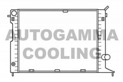 AUTOGAMMA 102241 -  Радиатор, охлаждение двигателя