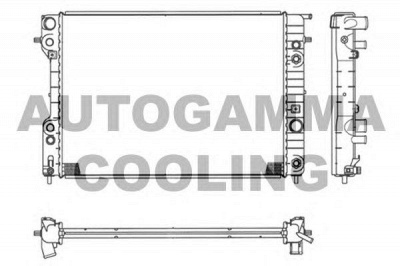 AUTOGAMMA 102254 -  Радиатор, охлаждение двигателя