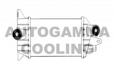 AUTOGAMMA 102404 -  Интеркулер