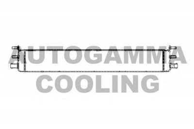 AUTOGAMMA 105171 -  Радиатор, охлаждение двигателя