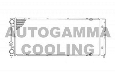 AUTOGAMMA 105481 -  Радиатор, охлаждение двигателя