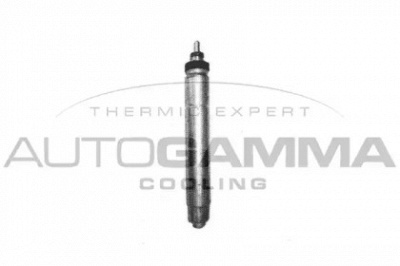 AUTOGAMMA 106300 -  
