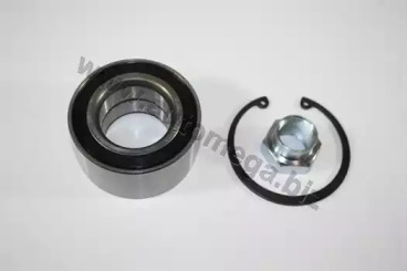 AUTOMEGA 110009810 -  Комплект подшипника ступицы колеса