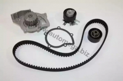 AUTOMEGA 160002510 -  