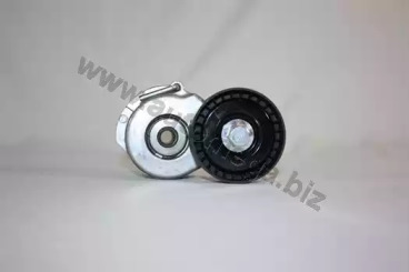 AUTOMEGA 160093110 -  Натяжитель ремня, клиновой зубча