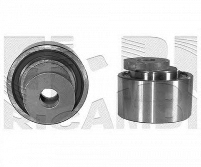 AUTOTEAM a00448 -  Устройство для натяжения ремня, ремень ГРМ