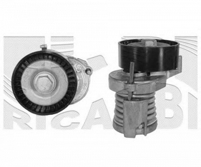 AUTOTEAM a01452 -  Натяжитель ремня, клиновой зубча