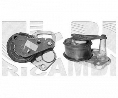 AUTOTEAM a02456 -  Устройство для натяжения ремня, ремень ГРМ