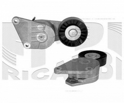 AUTOTEAM a02556 -  Натяжитель ремня, клиновой зубча