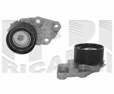 AUTOTEAM a02580 -  Устройство для натяжения ремня, ремень ГРМ