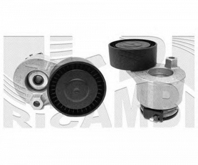 AUTOTEAM a04800 -  Натяжитель ремня, клиновой зубча