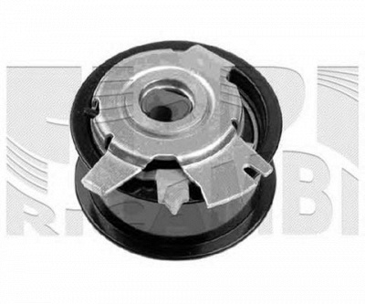 AUTOTEAM a04876 -  Устройство для натяжения ремня, ремень ГРМ