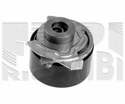 AUTOTEAM a04916 -  Устройство для натяжения ремня, ремень ГРМ