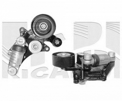 AUTOTEAM a05264 -  Натяжитель ремня, клиновой зубча