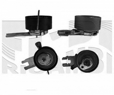 AUTOTEAM a05960 -  Устройство для натяжения ремня, ремень ГРМ