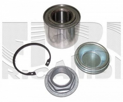 AUTOTEAM ra4061 -  Комплект подшипника ступицы колеса
