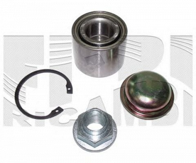 AUTOTEAM ra4411 -  Комплект подшипника ступицы колеса