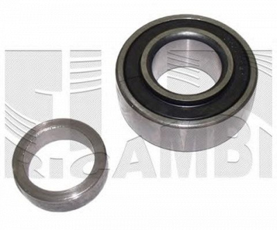 AUTOTEAM ra7823 -  Комплект подшипника ступицы колеса