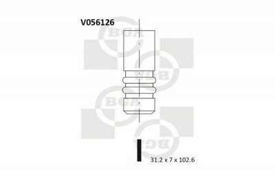 BGA v056126 -  Выпускной клапан